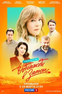 Однажды в Залесье смотреть онлайн